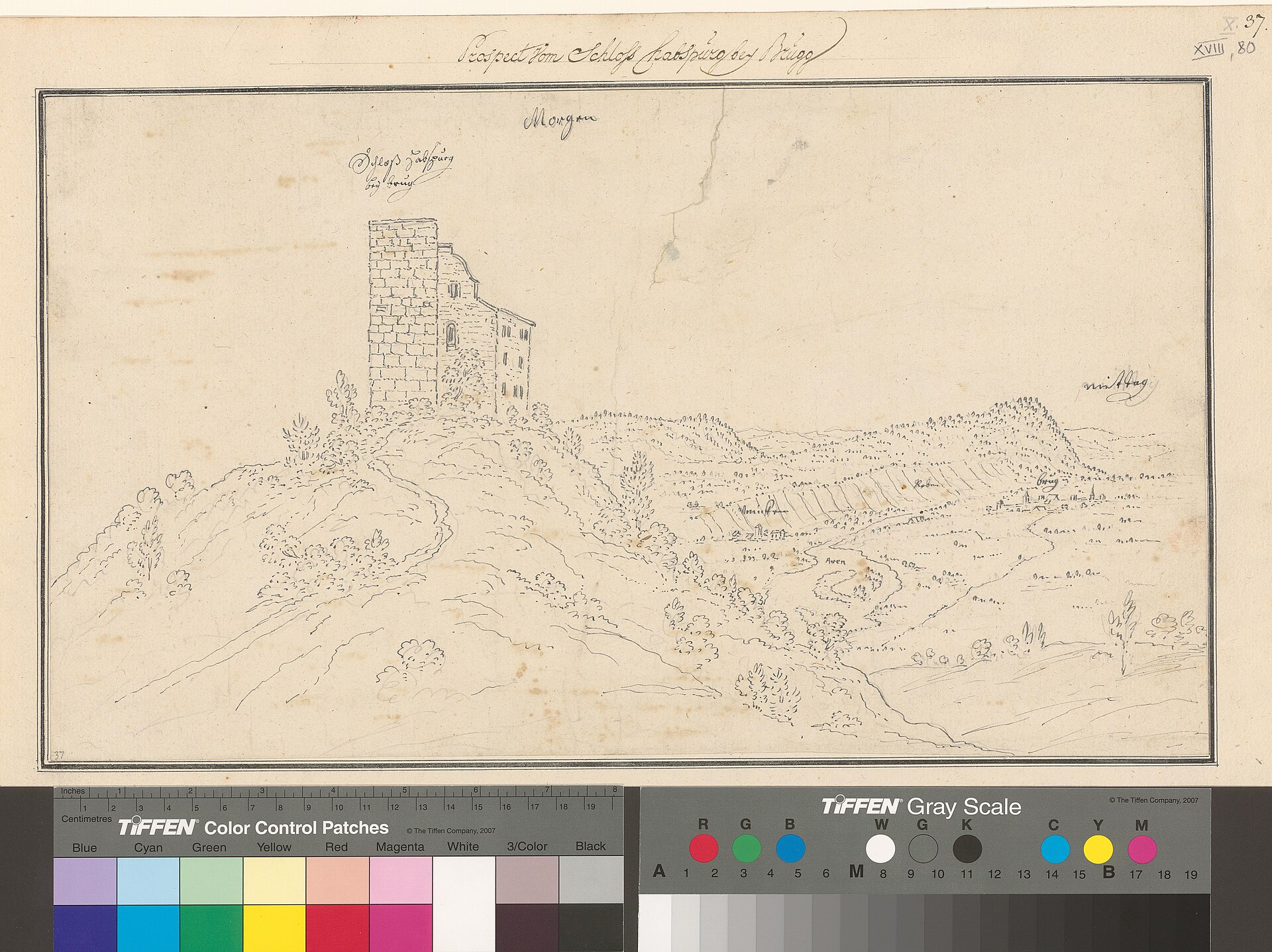 Habsburg Castle above the Aare